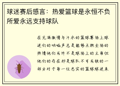 球迷赛后感言：热爱篮球是永恒不负所爱永远支持球队